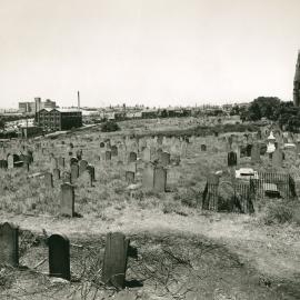View of Camperdown Cemetery with St Stephen's Church in rear Newtown, 1951