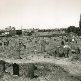 View of Camperdown Cemetery with St Stephen's Church in rear Newtown, 1951
