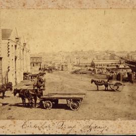 View of Circular Quay (Sydney Cove), circa 1880