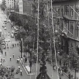 Martin Place christmas tree