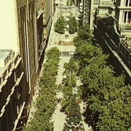 Martin Place pedestrian plaza showing tree canopy