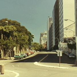 Macquarie St looking south from Farm Cove Crescent