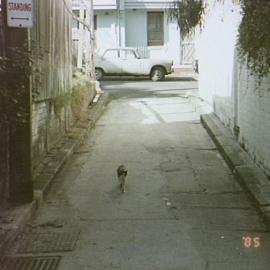 Batman Lane