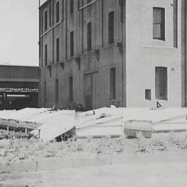Council nursery.