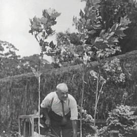Council nursery
