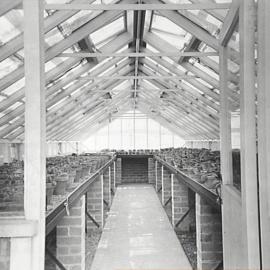 Interior of greenhouse