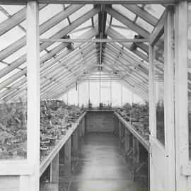 Interior of greenhouse