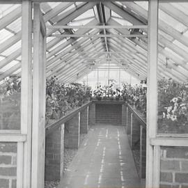 Interior of greenhouse