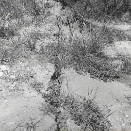 Earth subsidence