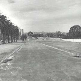 Pathway in Royal Botanic Gardens