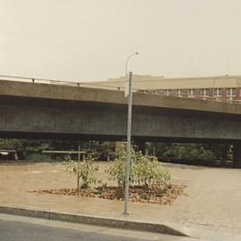 Fig Street, Pyrmont