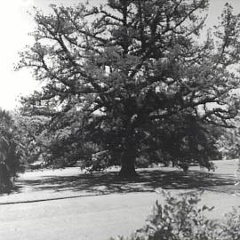 Royal Botanic Gardens