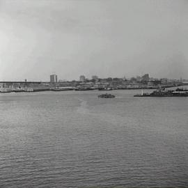 View towards Walsh Bay from Ball's Head