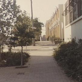 Houses and gardens in Jones St Ultimo.