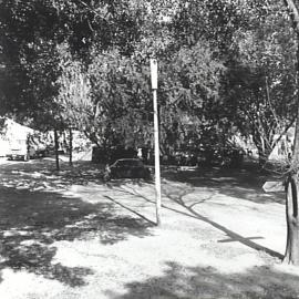 Waratah Spring Festival