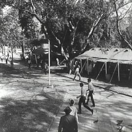 Waratah Spring Festival