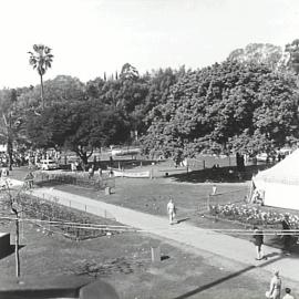 Waratah Spring Festival