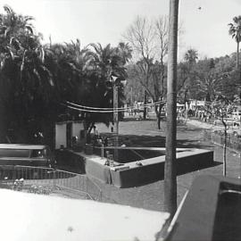 Waratah Spring Festival