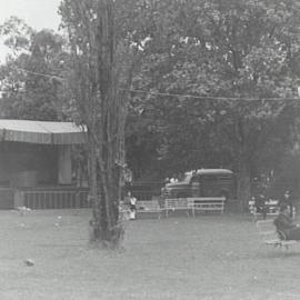 Waratah Spring Festival
