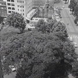 Aerial view of Macquarie Place Park, 1964