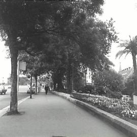 York Street at Lang Park