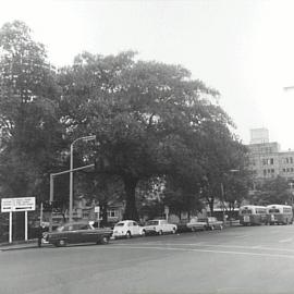 York Street at Lang Park