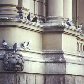 Lion head and pigeons