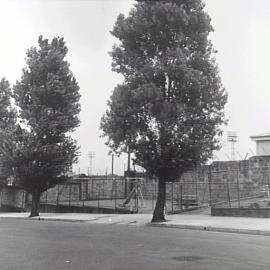 Oatley Rd Park, Paddington