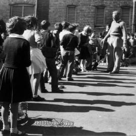 Pet show at Ultimo Public School