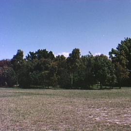 Moore Park