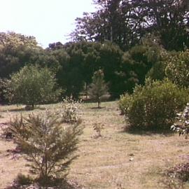 Moore Park