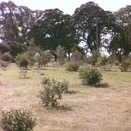 Moore Park