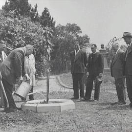 Camperdown Memorial Rest Park