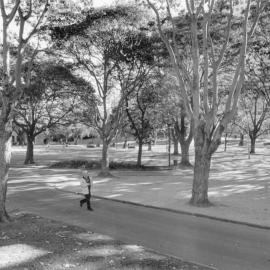 View of Belmore Park