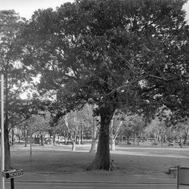 View of Belmore Park