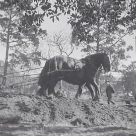 Horse and plough in Hyde Park