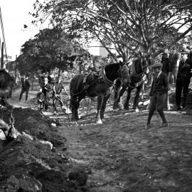 Horse and plough being used in Hyde Park, Elizabeth Street Sydney, 1930s
