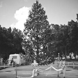 Charity Christmas tree in Hyde Park