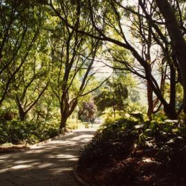 Path shadowed by tree canopy in Hyde Park, Elizabeth Street Sydney, 1980s