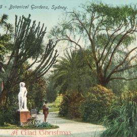 Postcard - Royal Botanic Gardens Sydney, 1910