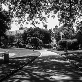Pathway leading through Victoria Park Camperdown, 1964