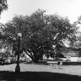 Macleay Reserve, Elizabeth Bay Road, Elizabeth Bay, circa 1960