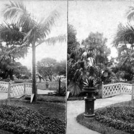 Footbridge in the Royal Botanic Gardens Sydney, 1901