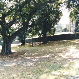 Waterloo Oval