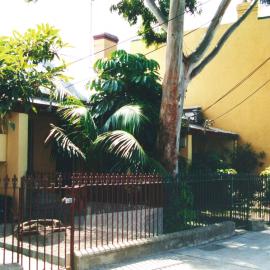 Elizabeth Street, Waterloo