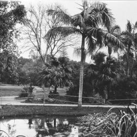 Royal Botanic Gardens, Macquarie Street Sydney, 1900