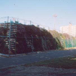 Redfern Oval, 1981