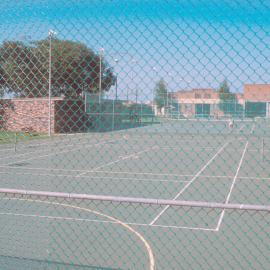 Alexandria Park Tennis Court, 1981