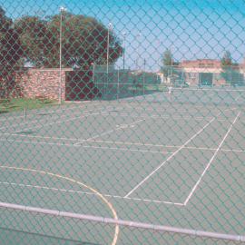 Alexandria Park Tennis Court, 1981