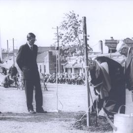 Planting of a tree, dedication ceremony, Camperdown Memorial Rest Park Newtown, 1961